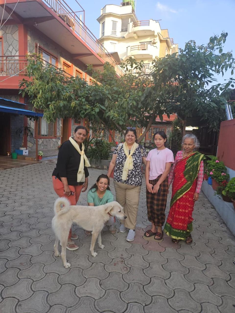 Pokhara Metro Eco Hotel エクステリア 写真